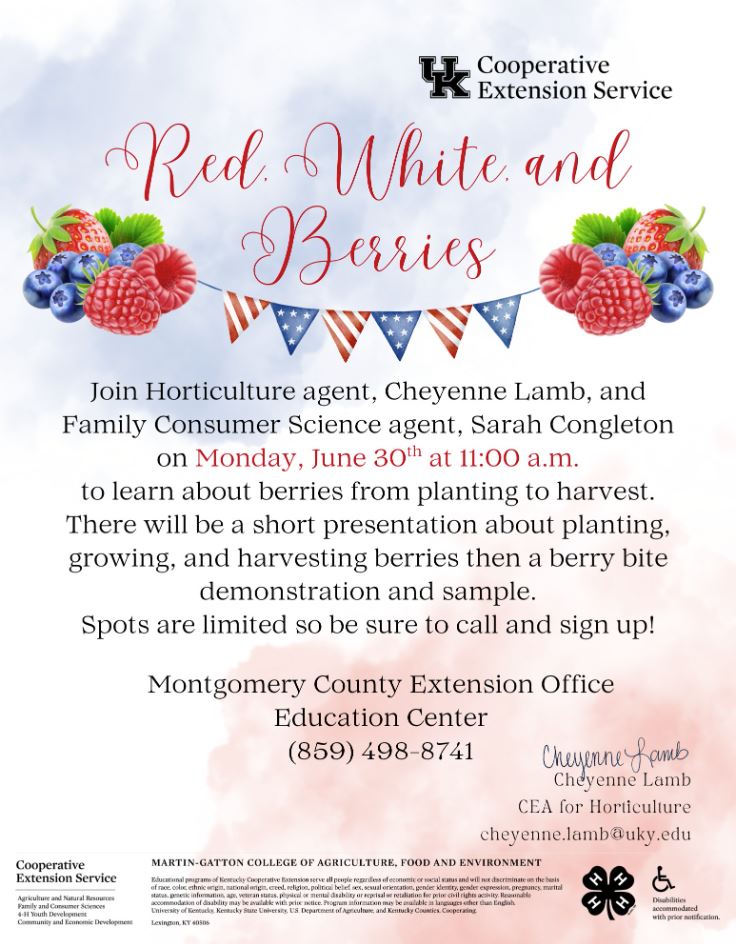 Red, White, and Berries